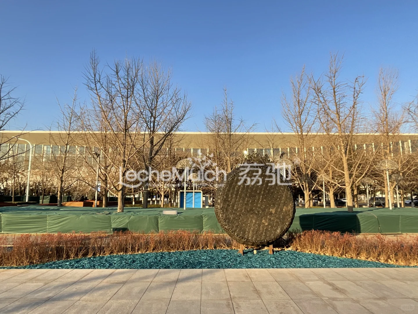 彩色有机覆盖物