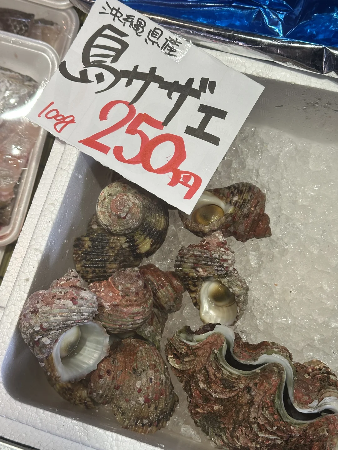 来冲绳你不来海鲜市场吗?