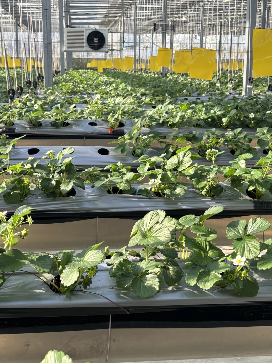 这个班真的太赞了！！！?