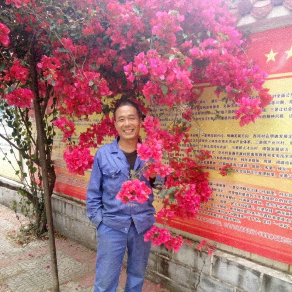 北京水电木工师傅上门维修