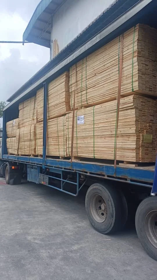 罗里运输服务 起飞!?