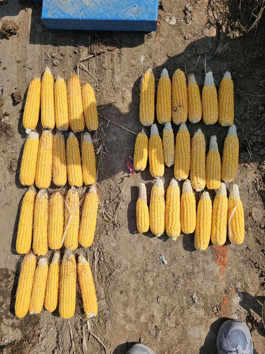 德国赢创增效剂