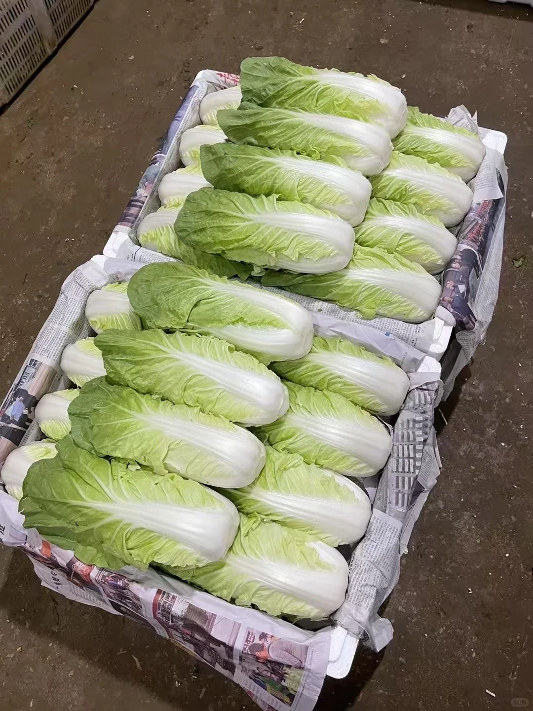 蔬菜批发 #食堂供应商 #同城配送 #餐饮供应