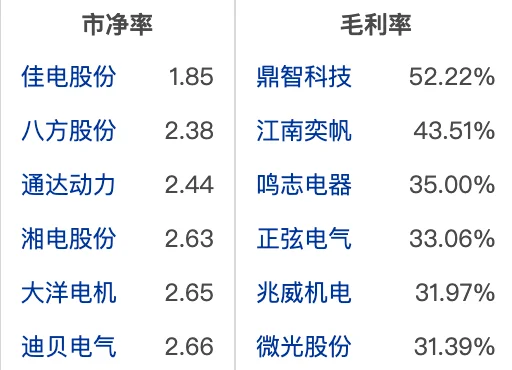 大A电机行业龙头