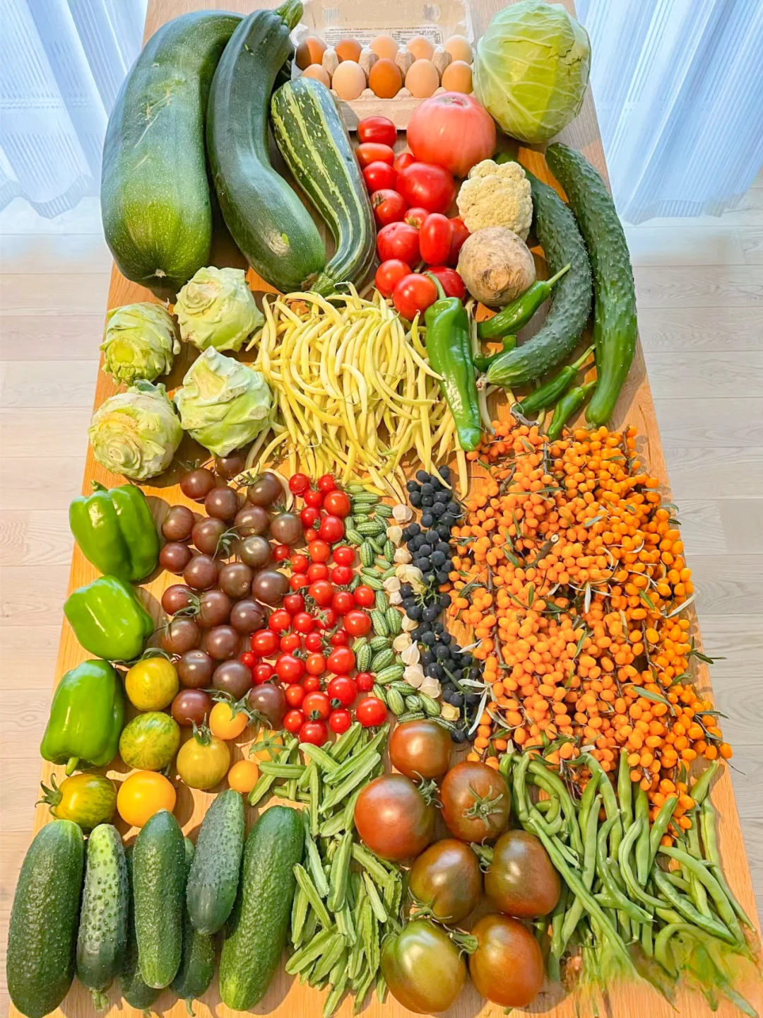 这个收成，在种菜界是什么水平？