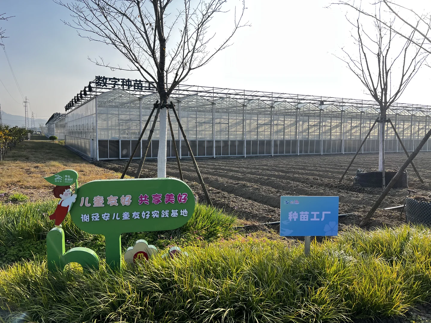 厉害了，“谢径安”！