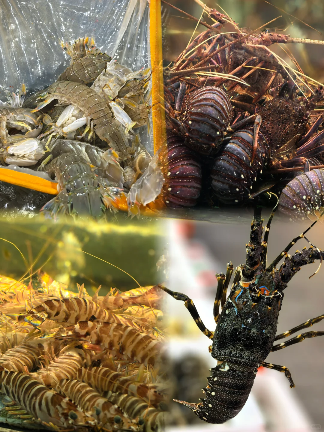 海鲜批发市场里竟藏了个近万平的美食城!