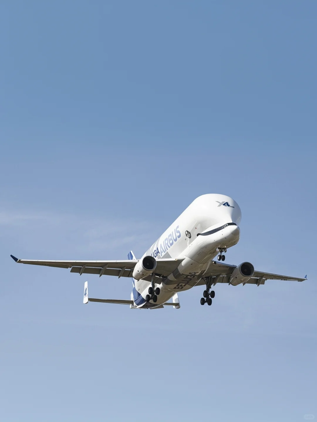 空客公司的6架超级“大白鲸”