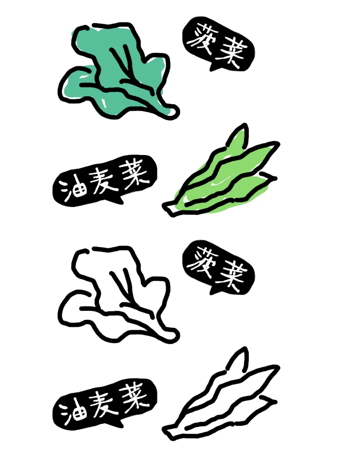 植物角：蔬菜的种类