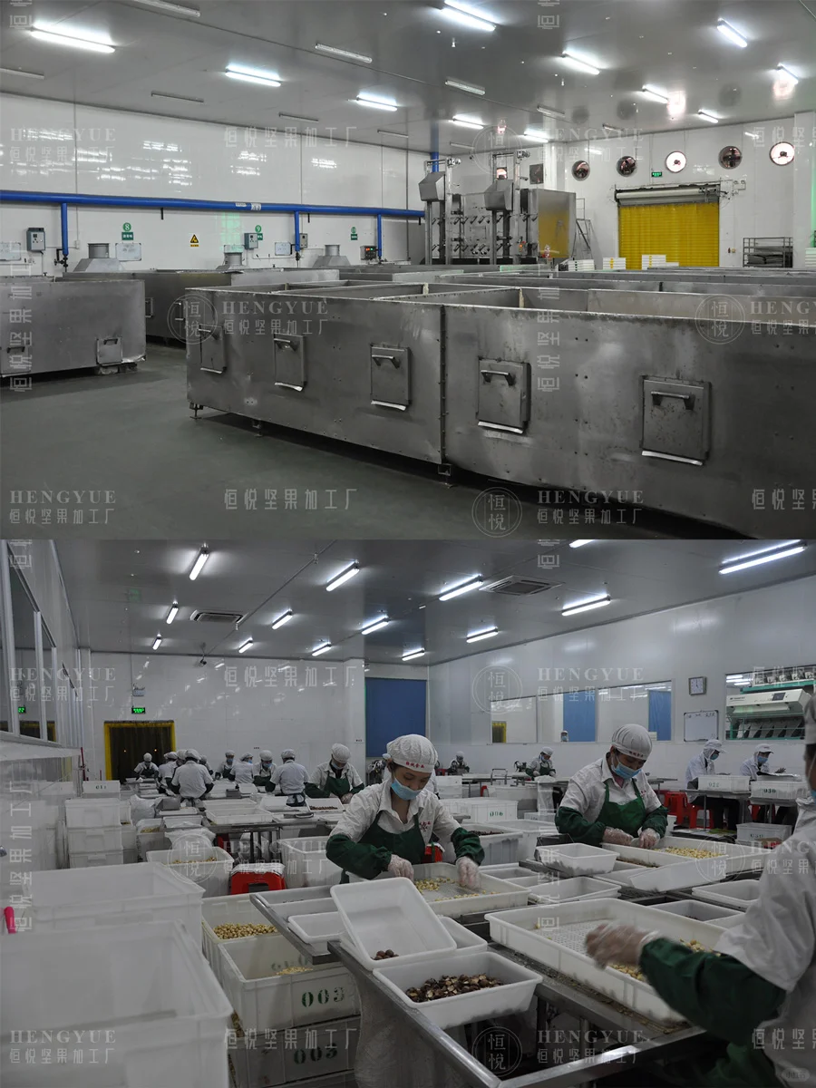 坚果加工生产日常,工厂直销批发坚果供货商