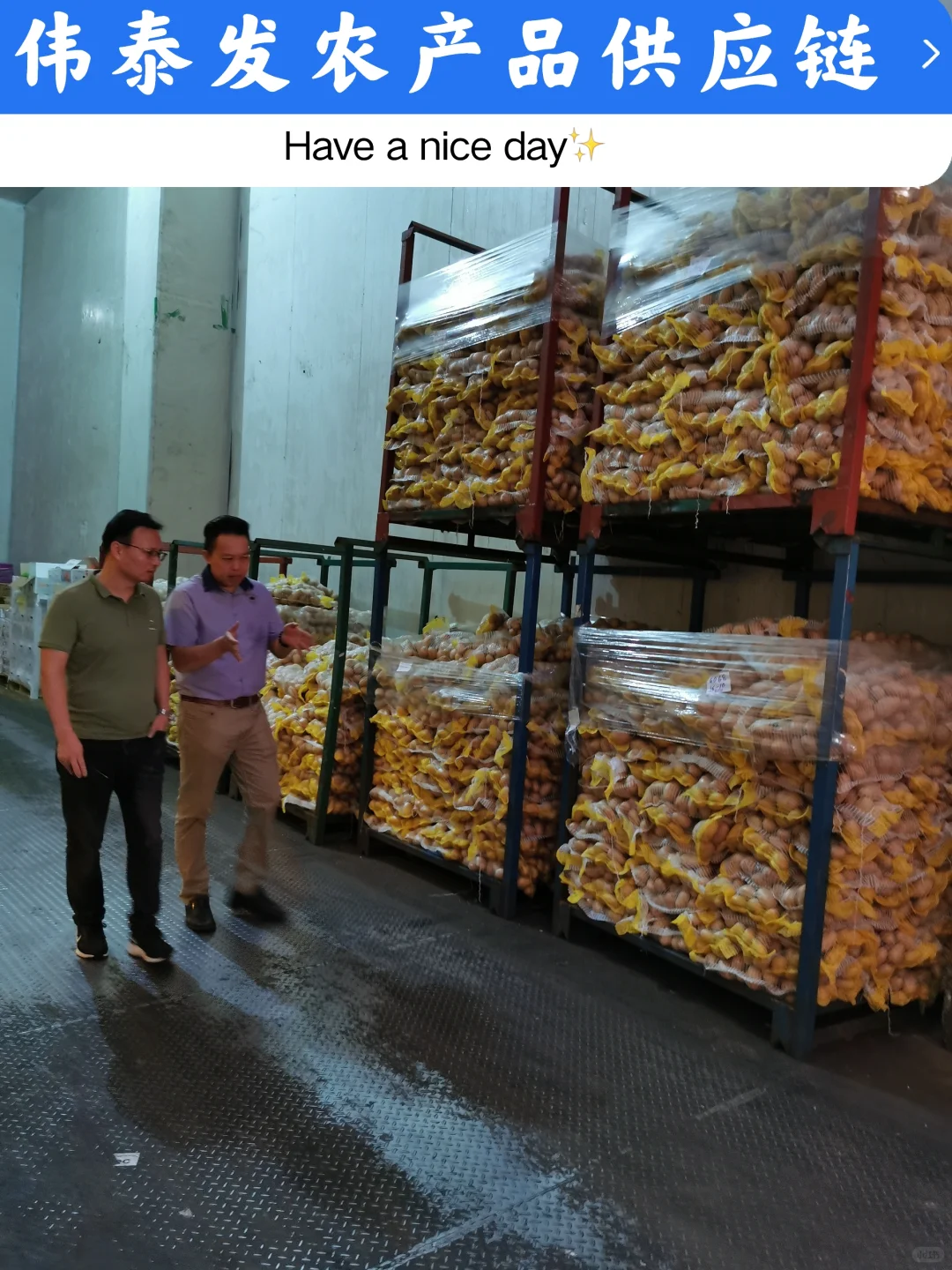 伟泰饭农产品供应链源头直供一站式配送