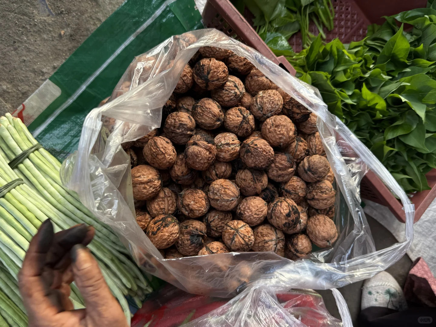 “靠山吃山：大山里这个季节吃啥…..”