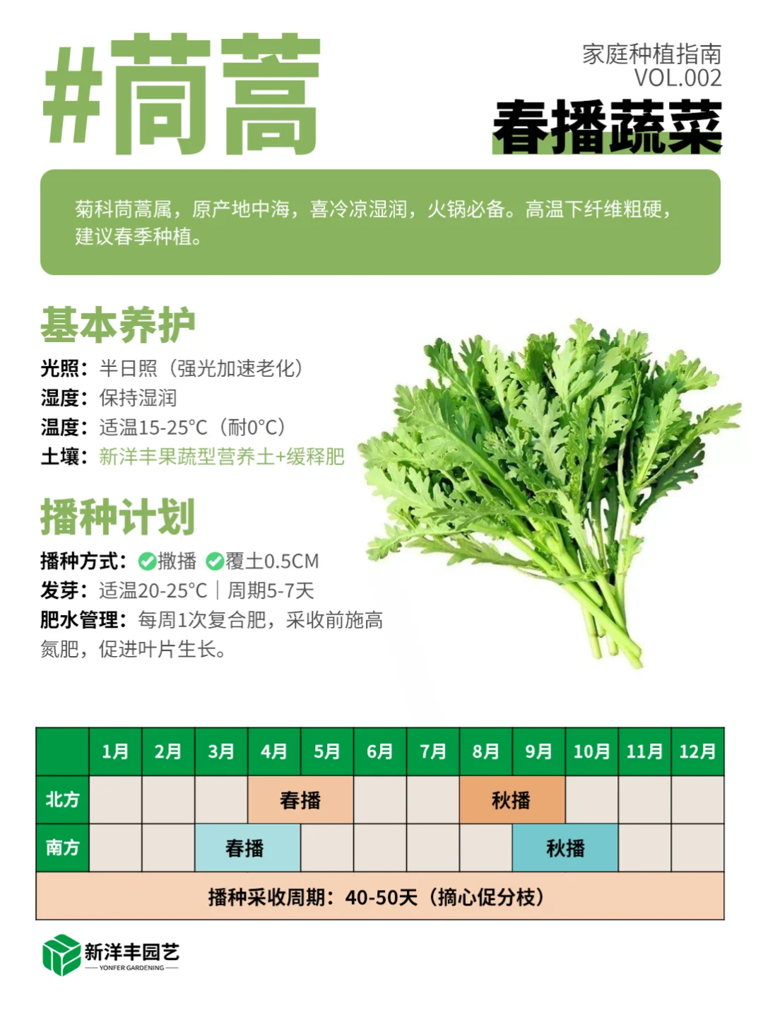 种菜新手看这个！春天种这些更容易成功