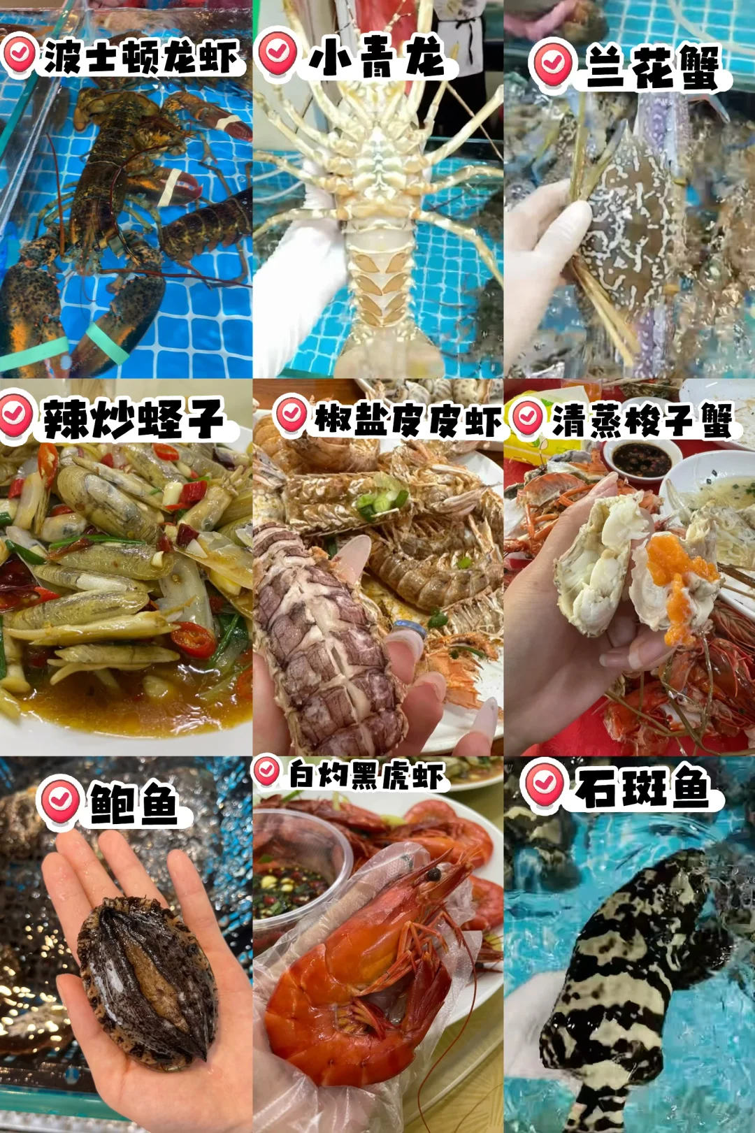 11.11海鲜实时报价｜便民市场竹林佬不踩坑?