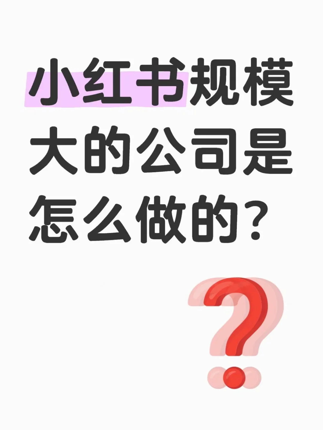 ?小红书规模大的公司是怎么做的❓❓