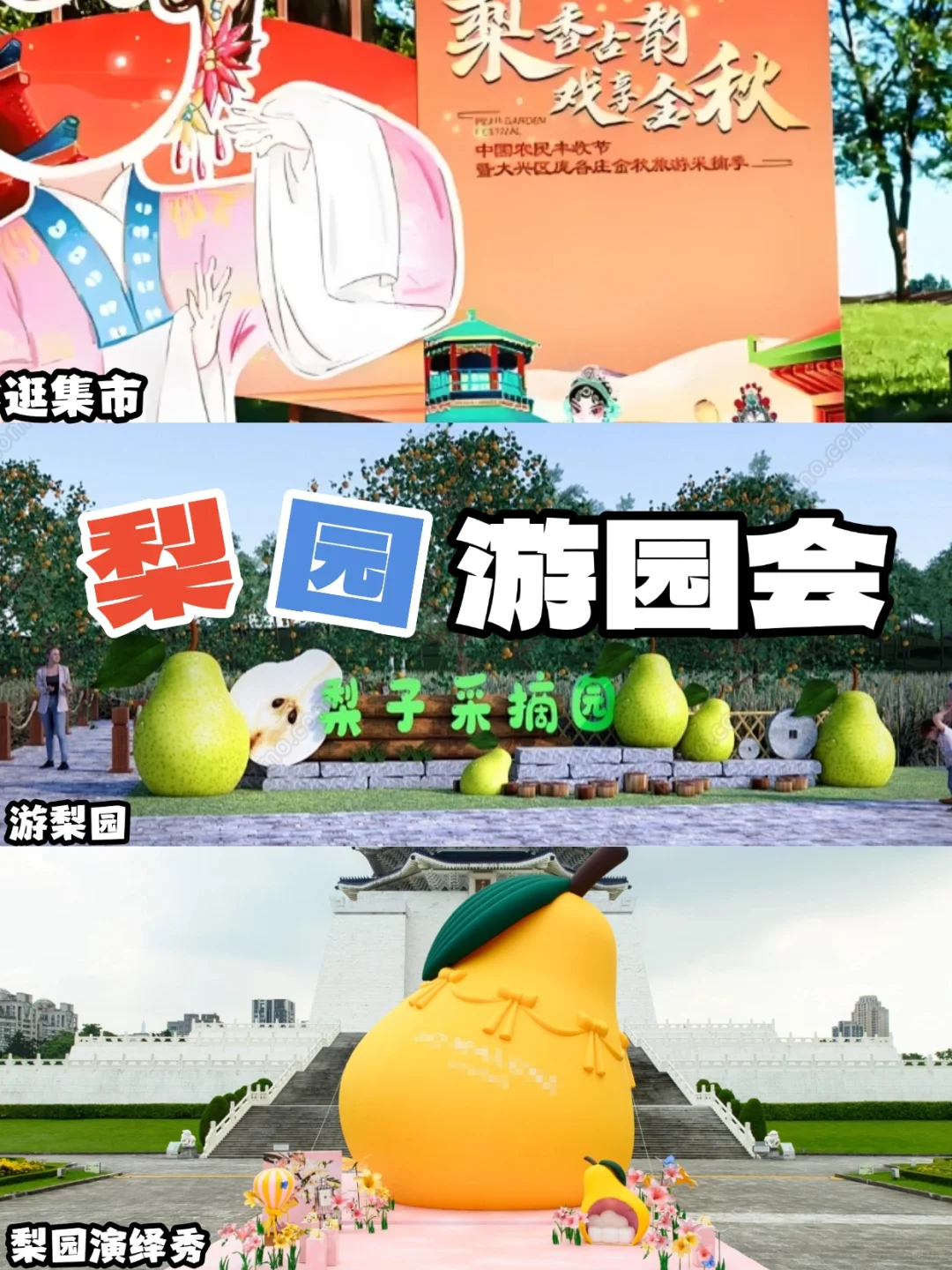 工会秋季助农体验 暖心又好玩 一起助力乡村