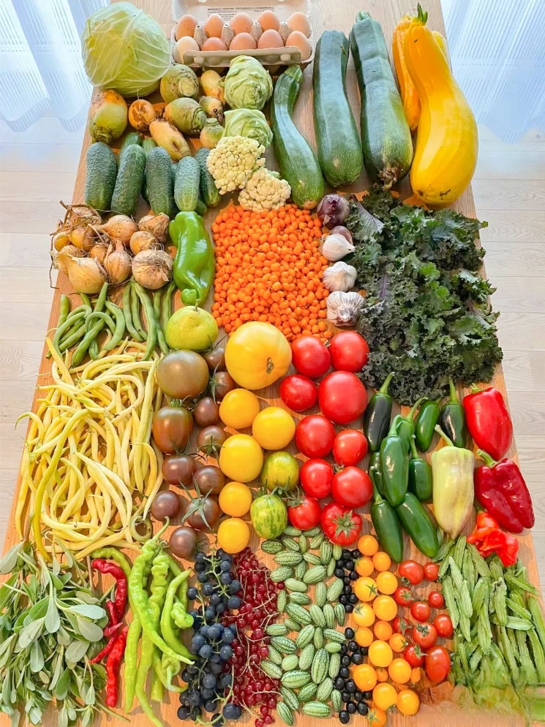 这个收成，在种菜界是什么水平？