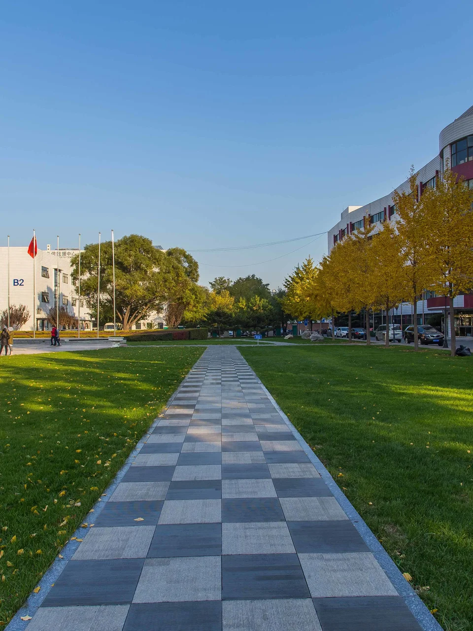 酒仙桥独栋办公｜494工位｜一价全含