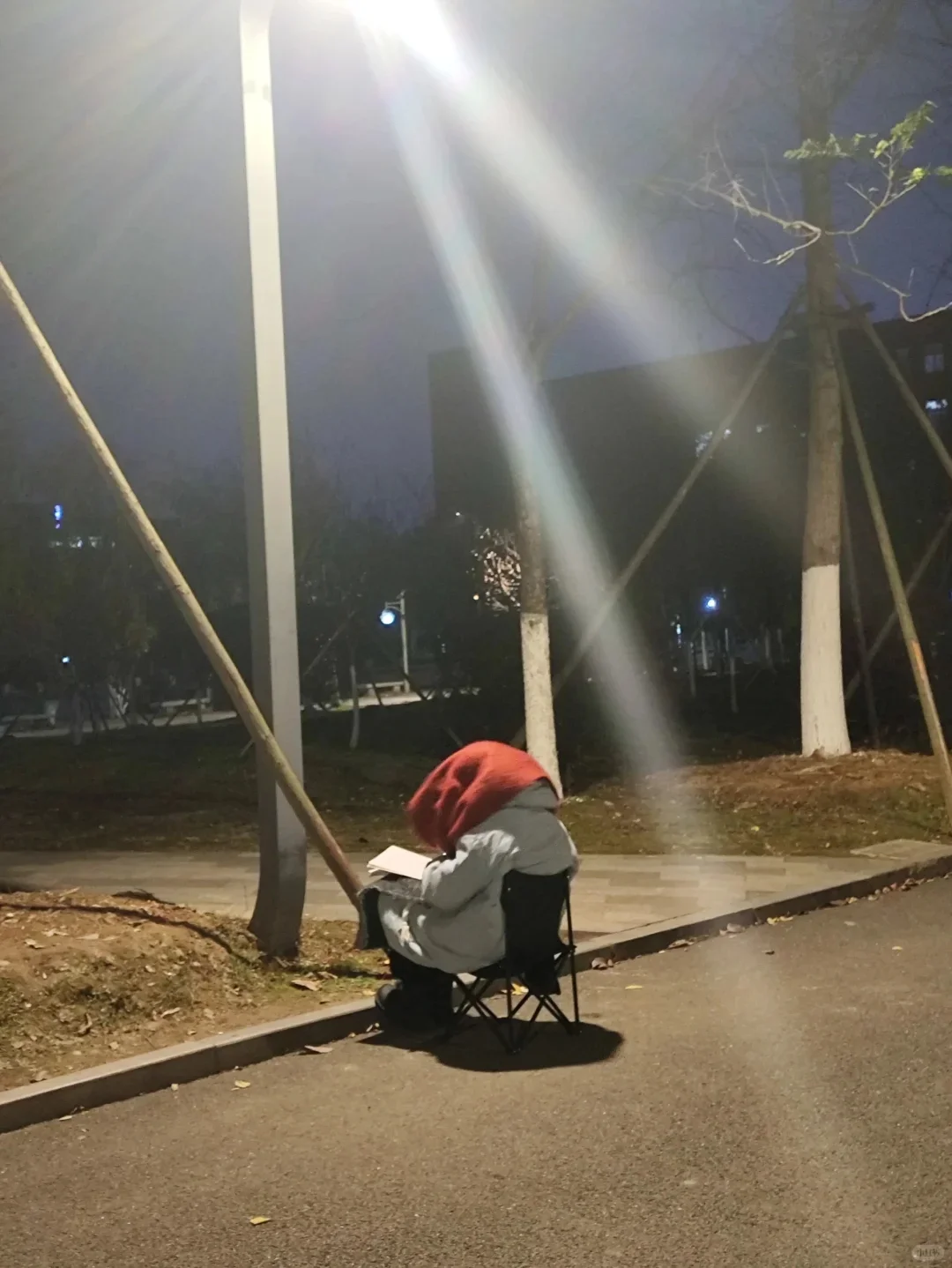 大三你得完成这些才能考研啊啊啊??