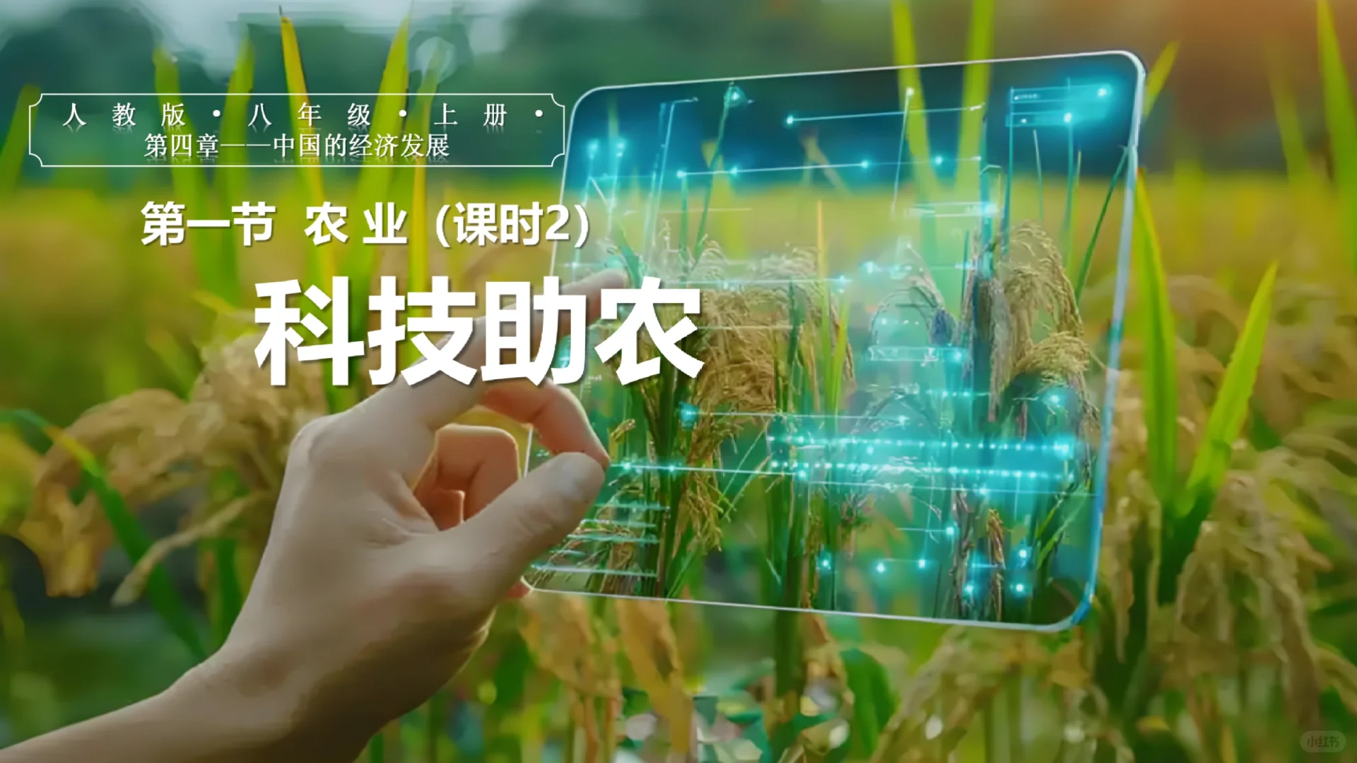 PPT【2025人教八上地理】4.1 农业（课时2）