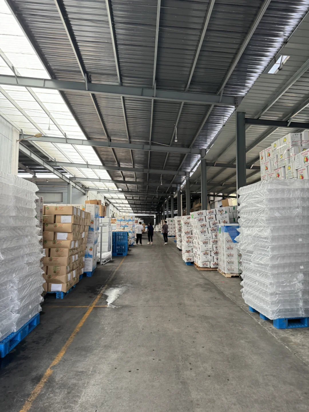 1688挖到三只ss、百c味老家了！坚果自由！