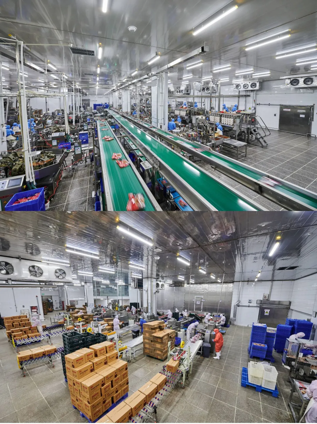 亲爱的锦鲤们！带大家认识下我们的生产车间