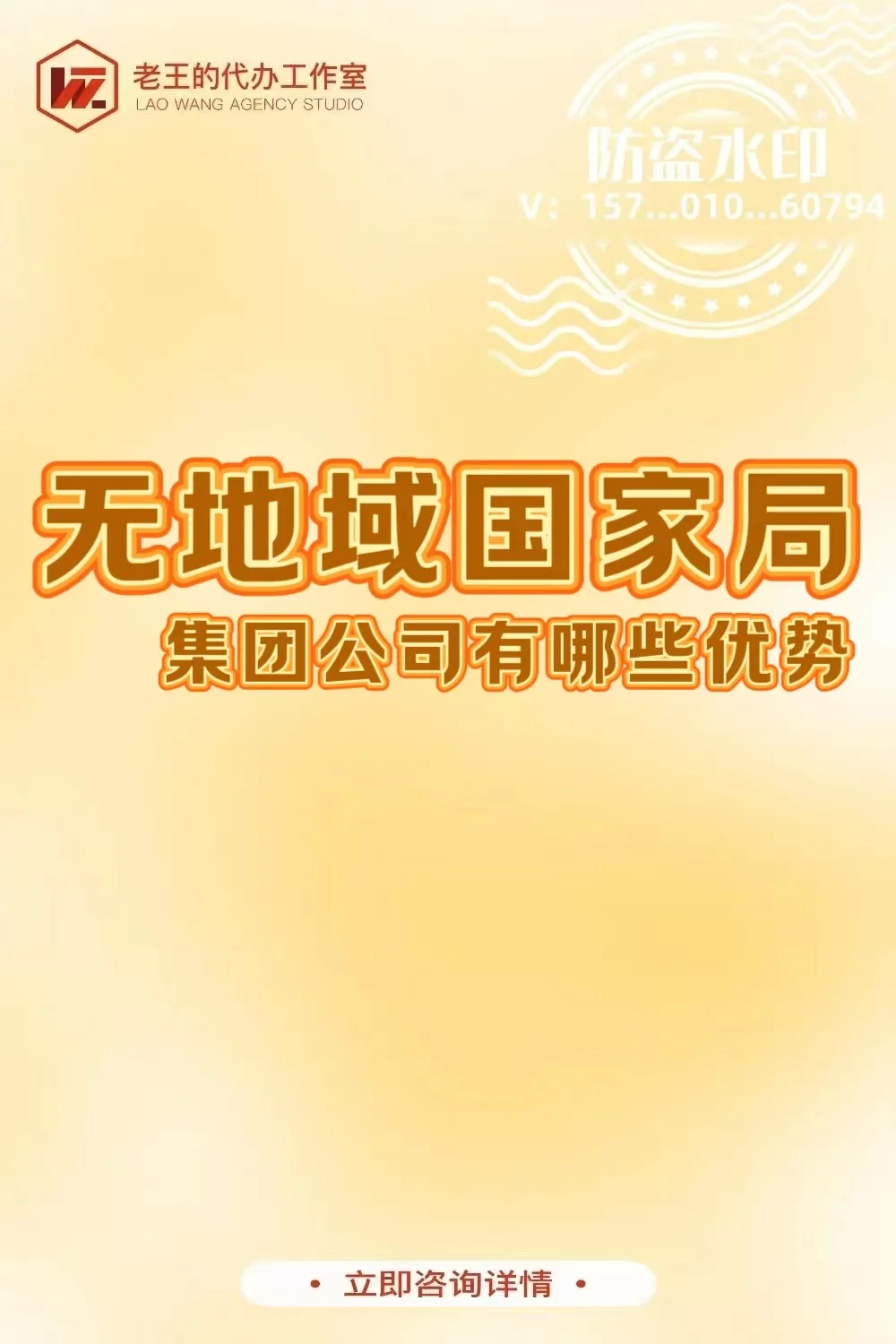 无地域国家局集团公司有哪些优势