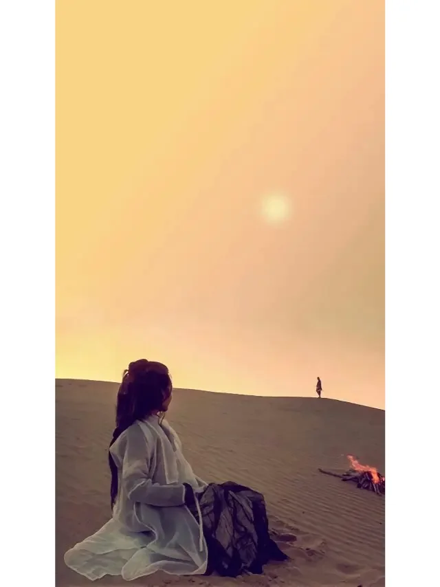 虚拟电厂与电动汽车充电站互利共赢的运营