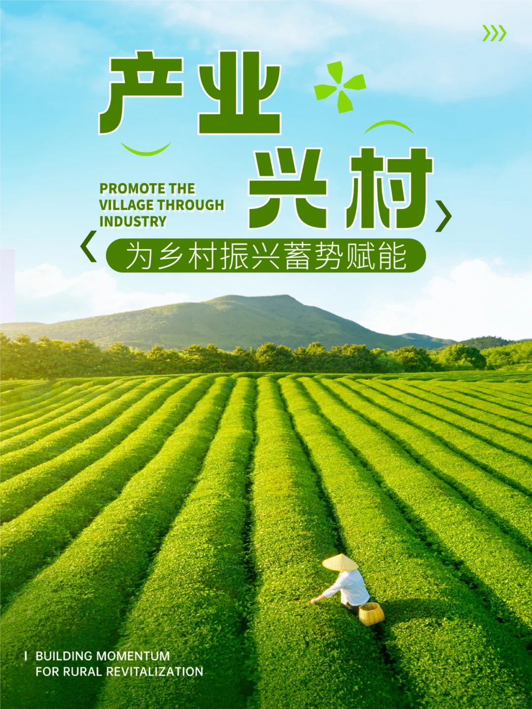 以业兴村 特色产业绘就现代农业好“丰”景