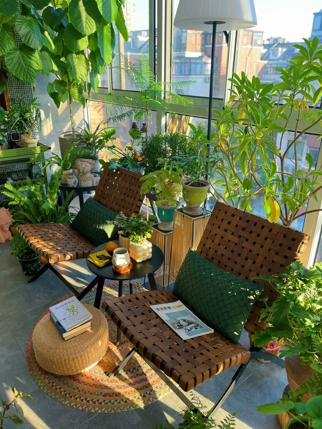 我的2023阳台小森林布置18图｜供参考