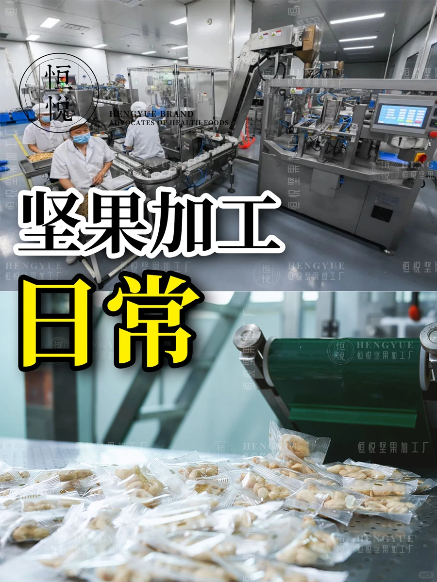 坚果加工生产日常,工厂直销批发坚果供货商