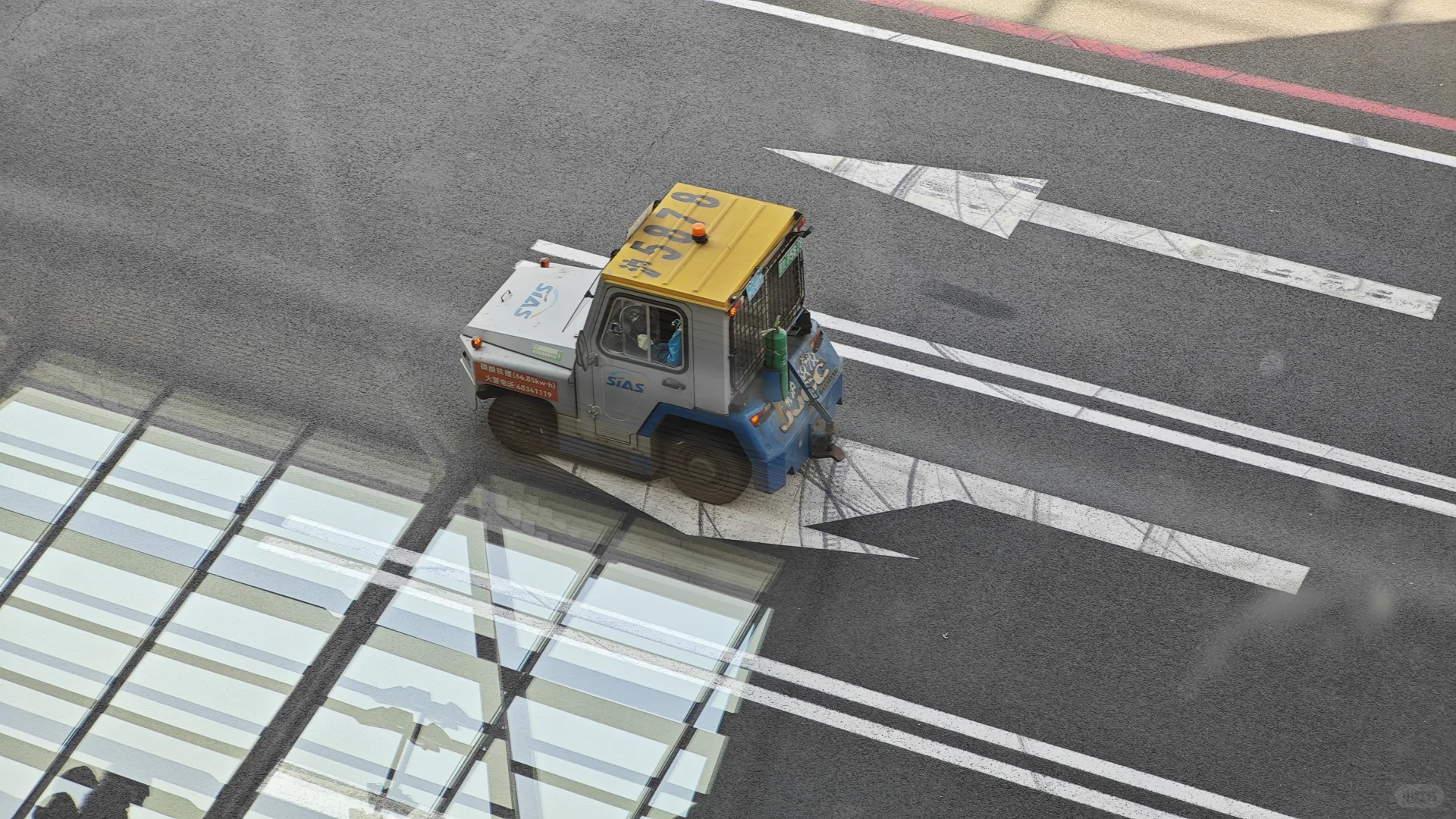 不是，没人觉得它真的超可爱的吗？！