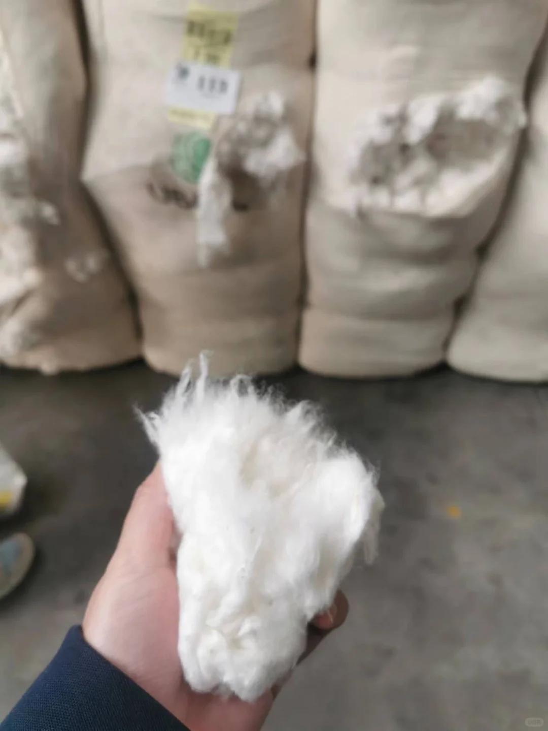 有没有做棉花贸易的？万能的小红书朋友们