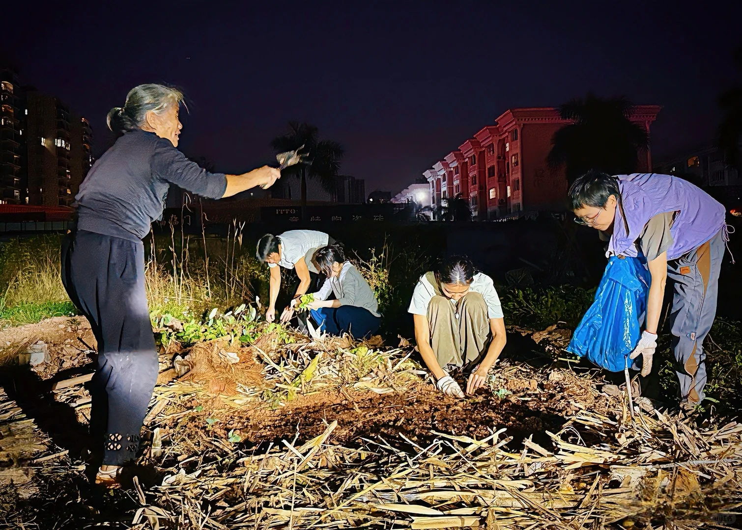 招募| 都市农夫.土壤修复工作坊，新手友好