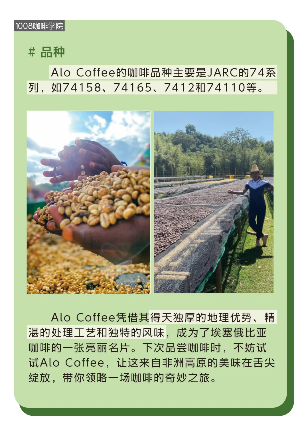咖啡小知识丨Alo Coffee