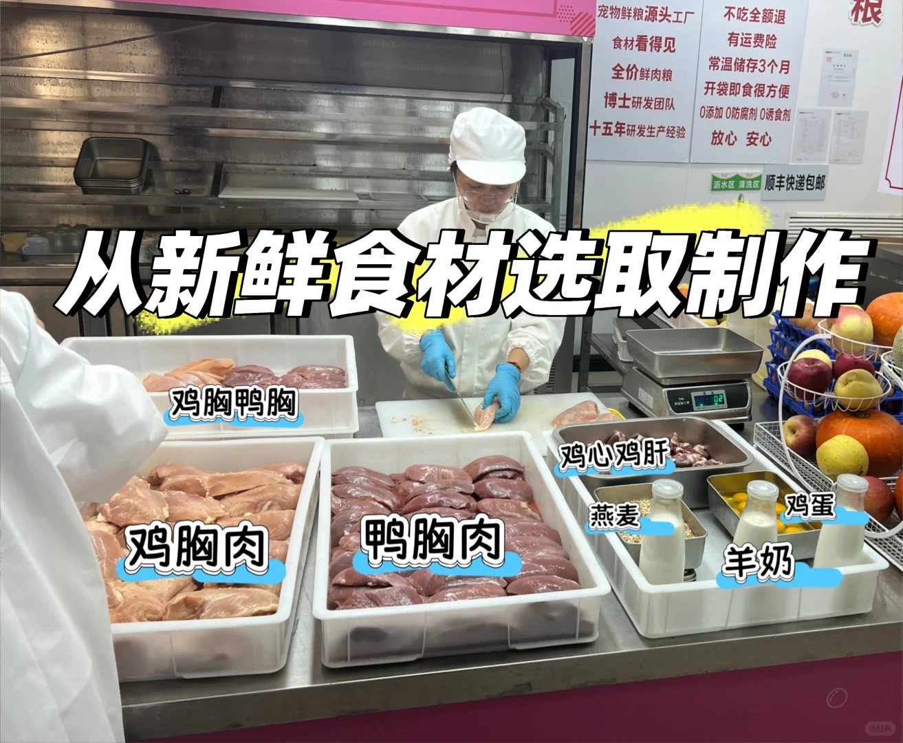 来看看做了17年的宠物食品工厂是什么样的