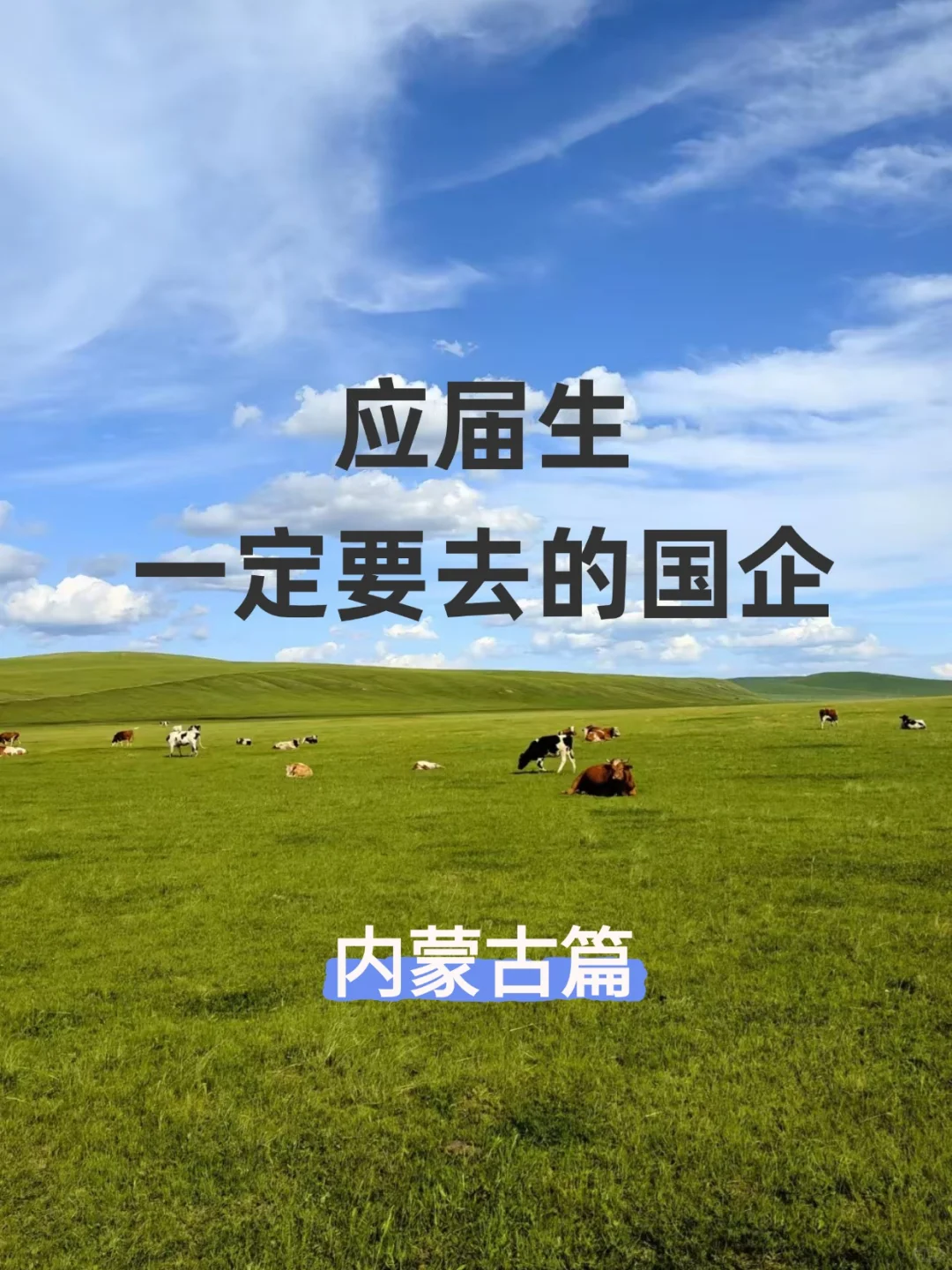 应届生一定要知道的国企（内蒙古篇）