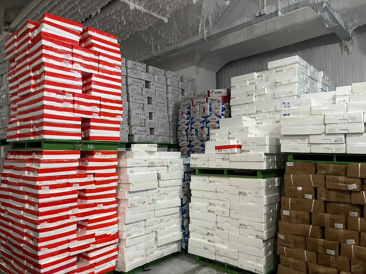 专业的人做专业的事