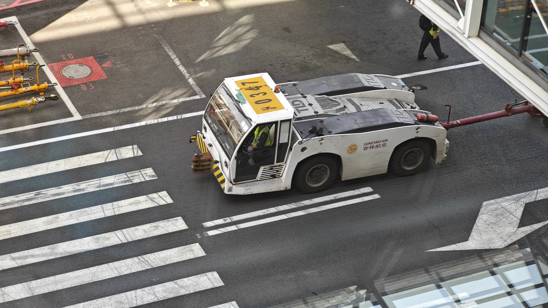 不是，没人觉得它真的超可爱的吗？！