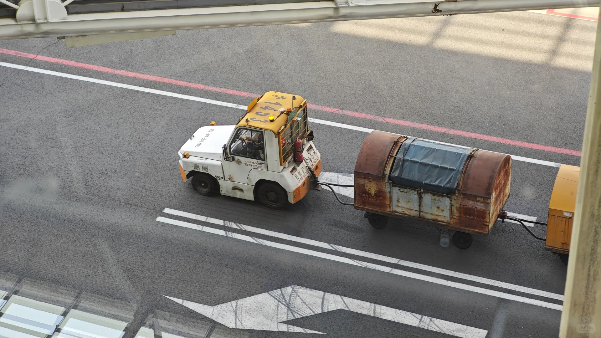 不是，没人觉得它真的超可爱的吗？！