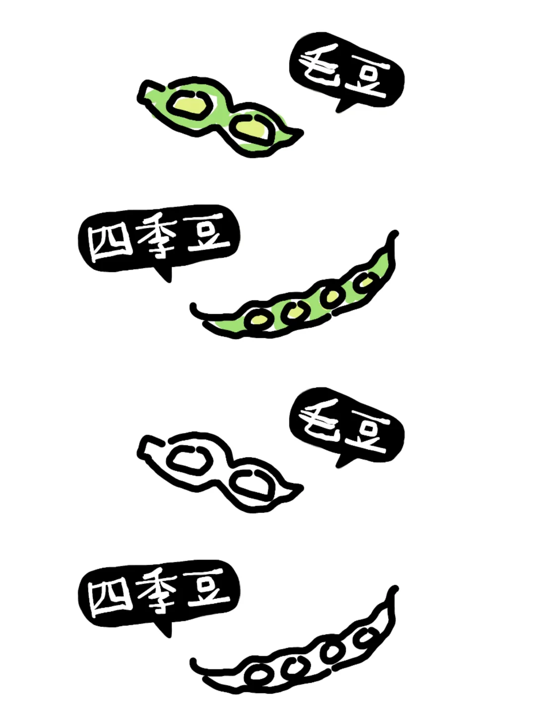 植物角：蔬菜的种类