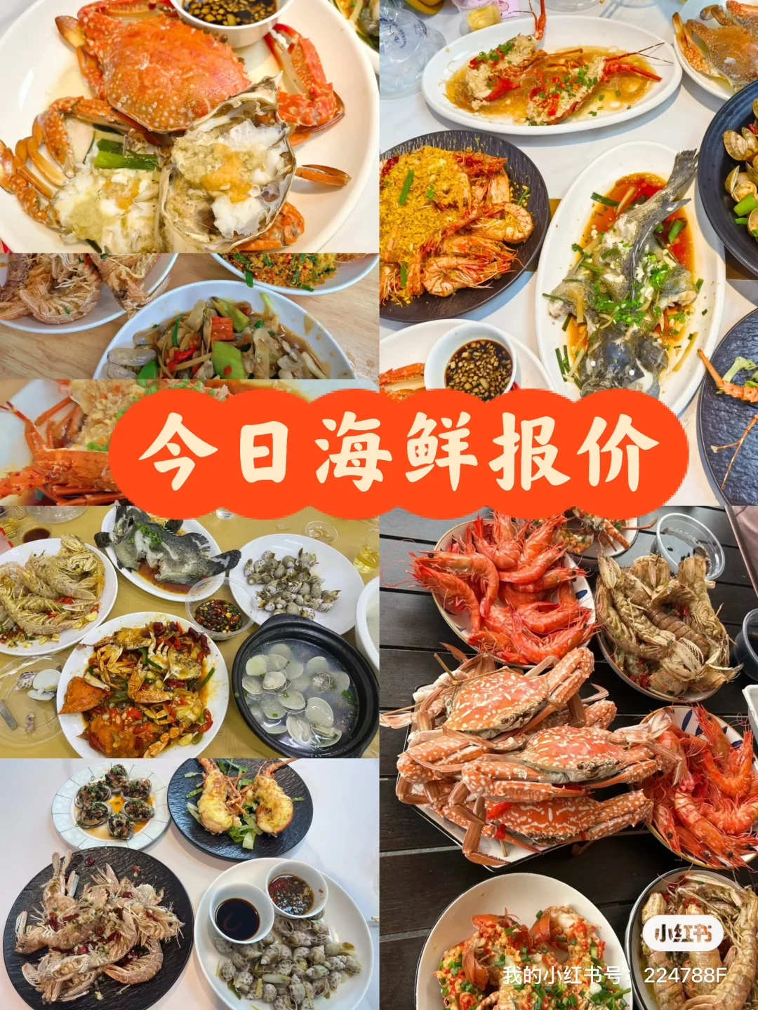 11.13海鲜实时报价｜便民市场竹林佬不踩坑?