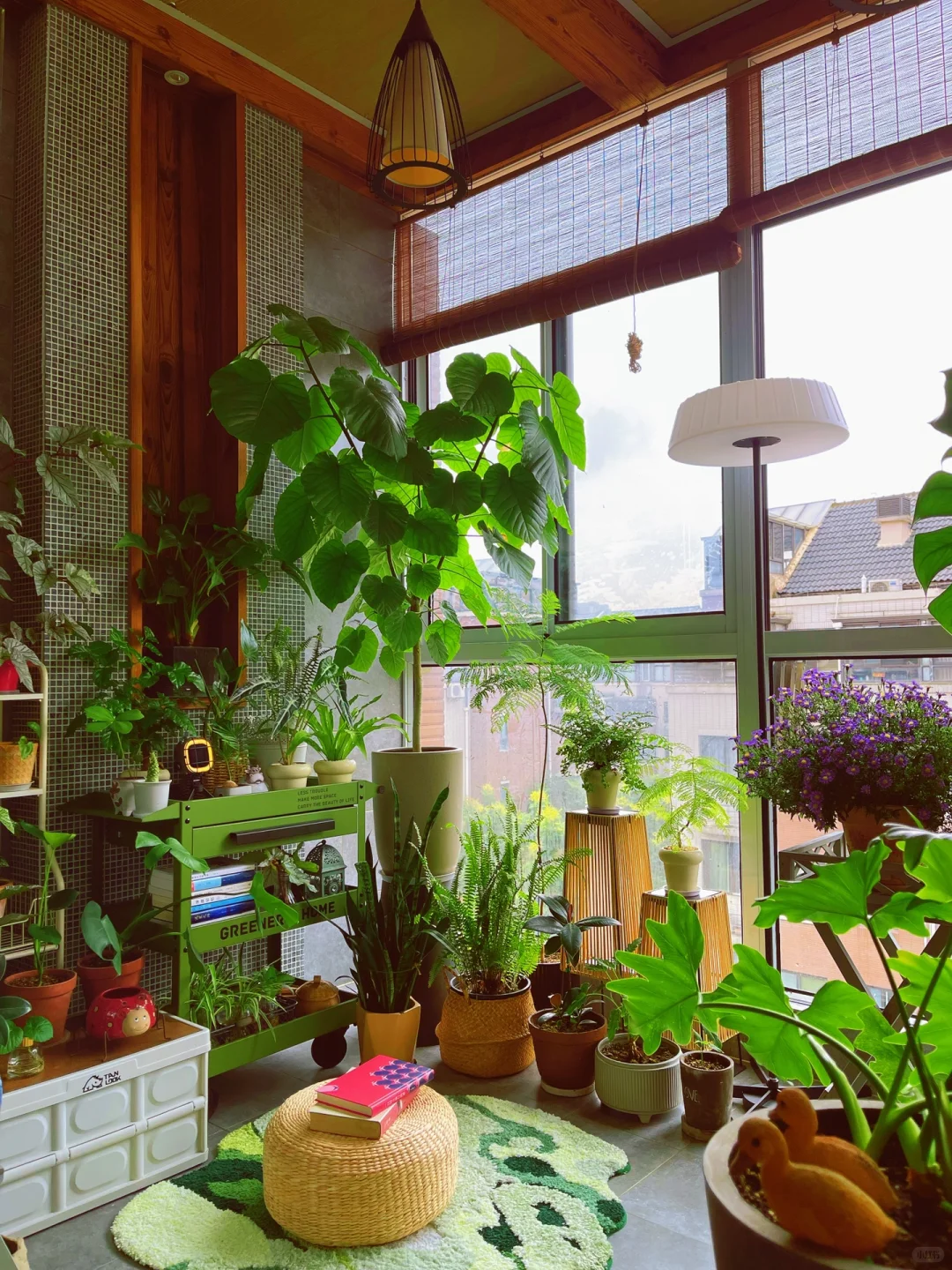 我的2023阳台小森林布置18图｜供参考