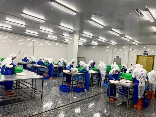 出口压片糖果加工工厂厂家,来样定制!