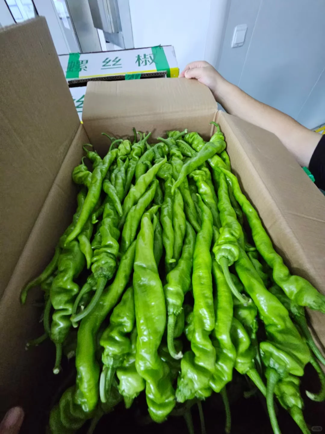 全成都生鲜配送: 学校、食堂、生鲜店、餐饮