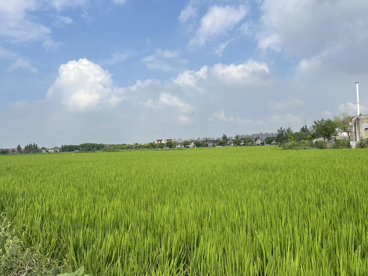 上海食堂食材配送，我只认这一家！???