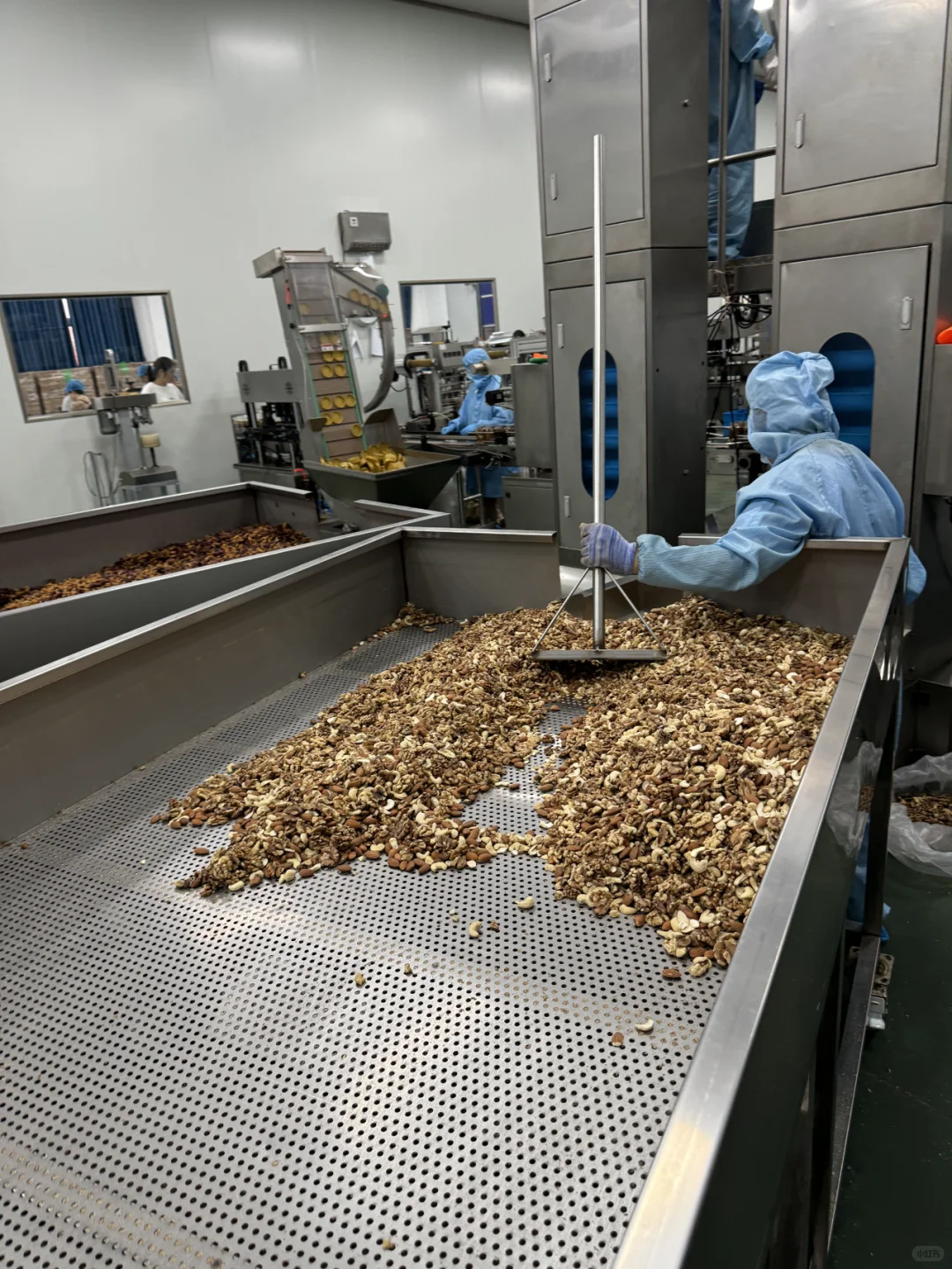 1688挖到三只ss、百c味老家了！坚果自由！