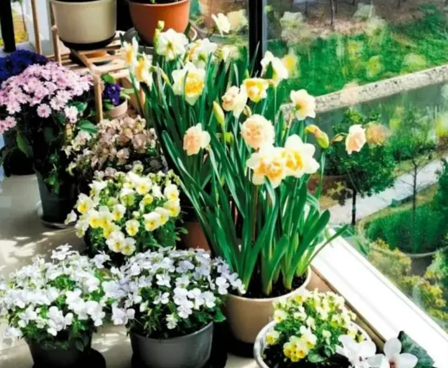 食物残渣变肥料