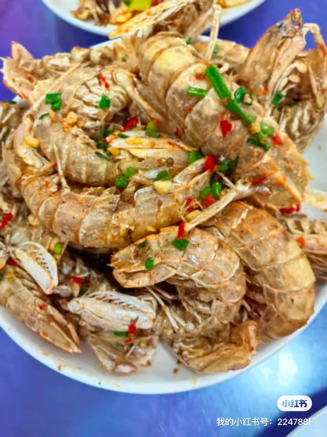 11.11海鲜实时报价｜便民市场竹林佬不踩坑?