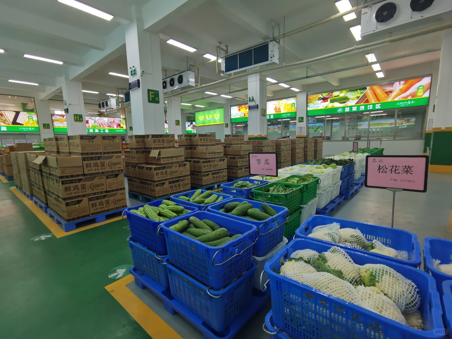 专注工厂、幼儿园、酒店新鲜食材配送服务